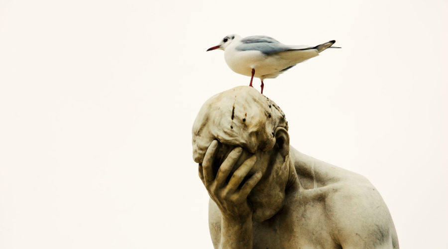 statue of man looking disappointed with bird on head
