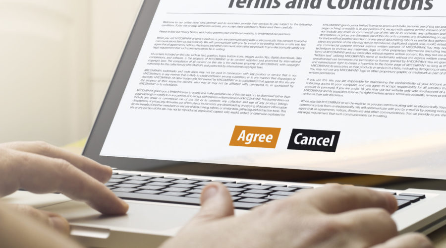website terms and conditions